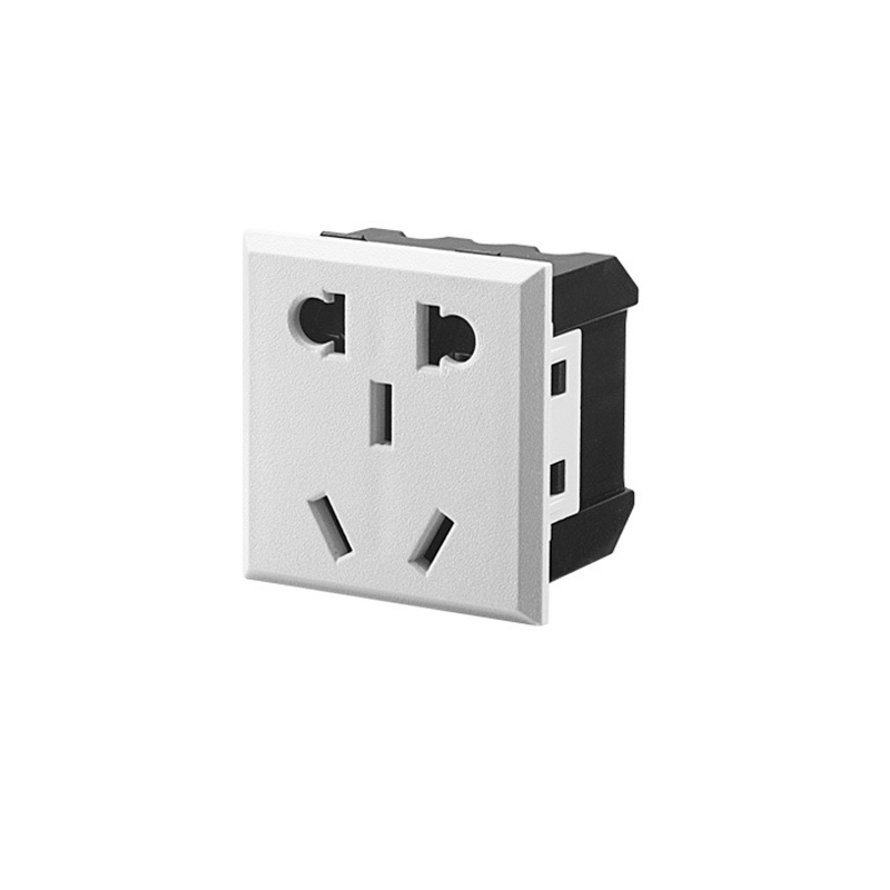 10A Power Socket Module